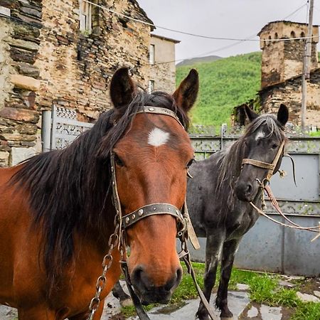 Bori'S Guesthouse Ushguli Zewnętrze zdjęcie